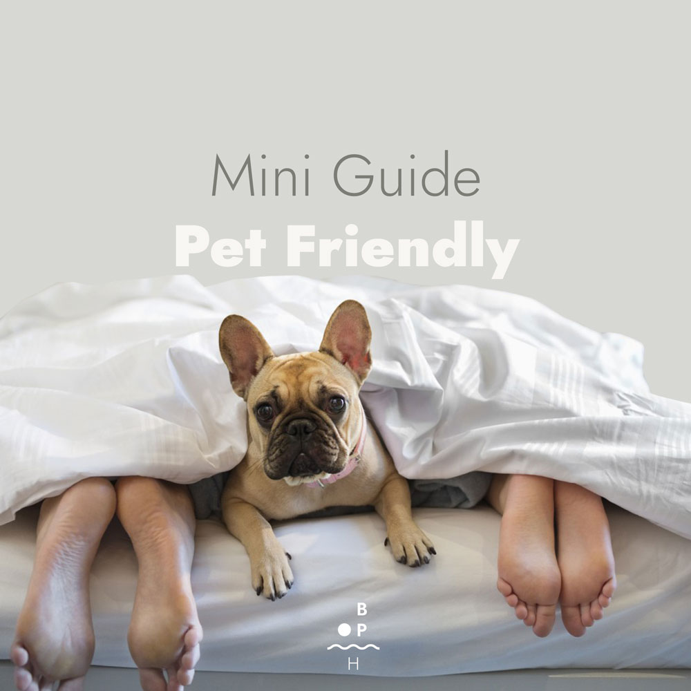 Mini Guide  —  Pet Friendly
